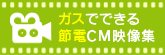 �K�X�łł���ߓdCM�f���W