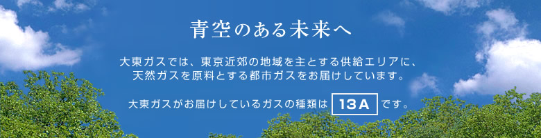 「青空のある未来へ」大東ガスでは、東京近郊の地域を主とする供給エリアに、天然ガスを原料とする都市ガスをお届けしています。大東ガスがお届けしているガスの種類は「13A」です。