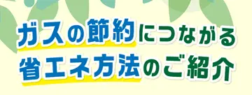 落ち葉堆肥農法